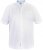D555 James Short Sleeve Oxford Shirt White - Skjortor - Stora skjortor - 2XL-8XL