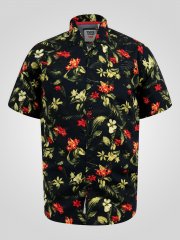 D555 Gordon Hawaiian AOP Cuvan Collar Resort Short Sleeve Black