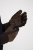 JP1880 811683 Skinnhandskar Brun - Handskar - 