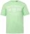 Men+ 424 T-shirt Trout Trophy Mintgrön - T-shirts - Stora T-shirts - 2XL-14XL