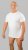 20 Nodi Mezzogiorno Sports T-Shirt White - T-shirts - Stora T-shirts - 2XL-14XL