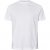 North Latitude T-Shirt 2-Pack White - T-shirts - Stora T-shirts - 2XL-14XL