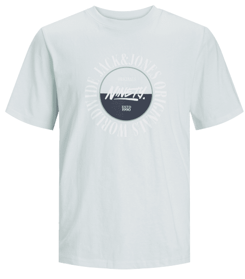 Jack & Jones JORCOBIN T-Shirt Skylight - T-shirts - Stora T-shirts - 2XL-14XL