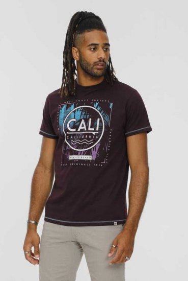 D555 NOVA Cali Surf Printed Crew Neck T-Shirt Plum - T-shirts - Stora T-shirts - 2XL-14XL