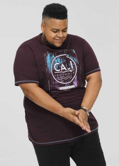 D555 NOVA Cali Surf Printed Crew Neck T-Shirt Plum - T-shirts - Stora T-shirts - 2XL-14XL