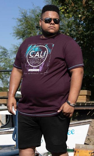 D555 NOVA Cali Surf Printed Crew Neck T-Shirt Plum - T-shirts - Stora T-shirts - 2XL-14XL