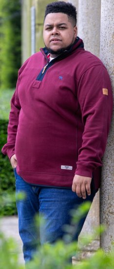 D555 HIRALDO Quarter Neck Pique Fleece Sweatshirt With Chest Embroidery Red - Tröjor & hoodies - Stora hoodies & tröjor - 2XL-14XL