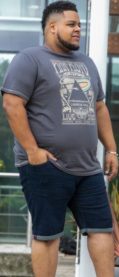 D555 HANLEY Official Pink Floyd Crew Neck T-Shirt Dark Grey TALL SIZES - HERRKLÄDER MT-6XLT - Kläder för långa män