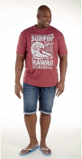 D555 Francis Burgundy T-shirt - T-shirts - Stora T-shirts - 2XL-14XL