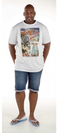 D555 Winthorp T-shirt White - T-shirts - Stora T-shirts - 2XL-14XL