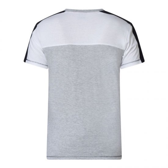 D555 Alvester T-shirt Grey - T-shirts - Stora T-shirts - 2XL-14XL