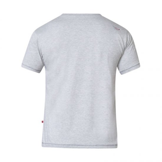 D555 Phillip T-shirt Grey - T-shirts - Stora T-shirts - 2XL-14XL