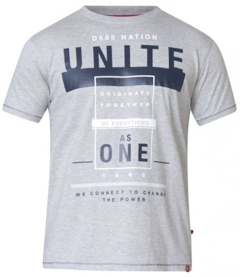 D555 Phillip T-shirt Grey - T-shirts - Stora T-shirts - 2XL-14XL