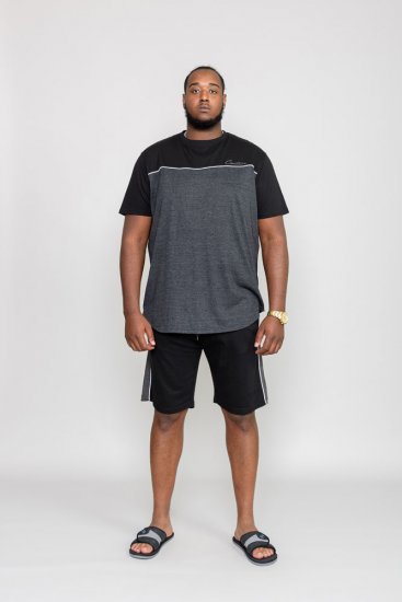 D555 NEWBURY T-Shirt - T-shirts - Stora T-shirts - 2XL-14XL