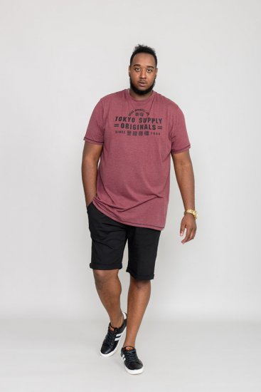 D555 LINTON Printed T-Shirt - T-shirts - Stora T-shirts - 2XL-14XL