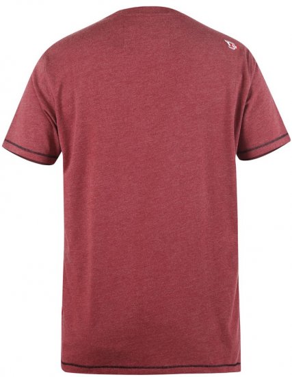 D555 LINTON Printed T-Shirt - T-shirts - Stora T-shirts - 2XL-14XL