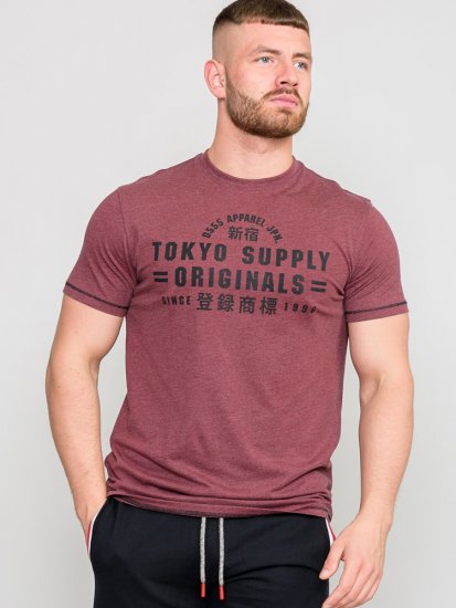 D555 LINTON Printed T-Shirt - T-shirts - Stora T-shirts - 2XL-14XL