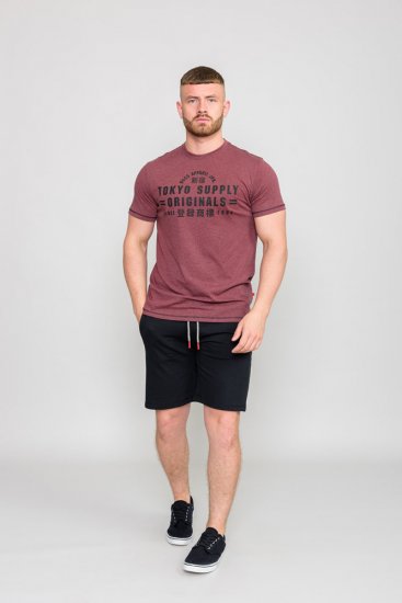 D555 LINTON Printed T-Shirt - T-shirts - Stora T-shirts - 2XL-14XL