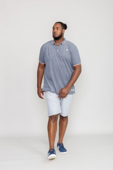 D555 WILCOT Polo Shirt - Pikétröjor - Stora pikétröjor - 2XL-8XL