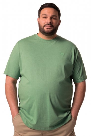Men+ 276 T-shirt med rund hals Grön - T-shirts - Stora T-shirts - 2XL-14XL