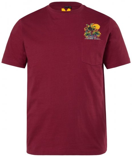 Men+ 219 T-shirt Palmer Kopparbrun - T-shirts - Stora T-shirts - 2XL-14XL