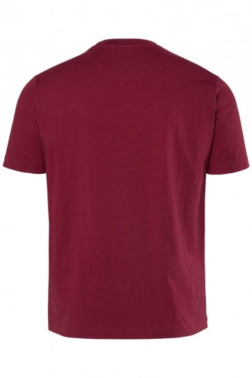 Men+ 219 T-shirt Palmer Kopparbrun - T-shirts - Stora T-shirts - 2XL-14XL