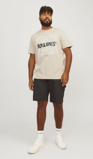 Jack & Jones JJPAISLEY T-Shirt Moonbeam - T-shirts - Stora T-shirts - 2XL-14XL