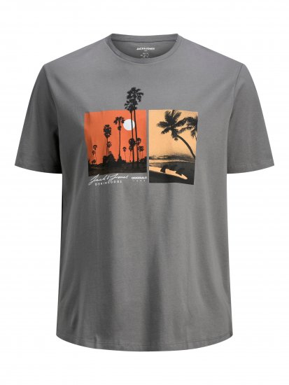 Jack & Jones Rocto T-shirt Sedona sage - T-shirts - Stora T-shirts - 2XL-14XL