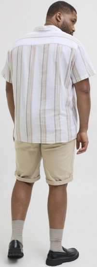 Jack & Jones Dave Chino Shorts Beige - Shorts - Stora shorts W40-W60