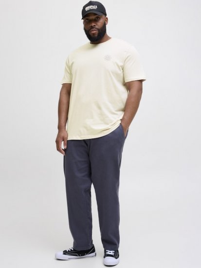 Jack & Jones Jackie Crew Neck T-Shirt Moonbeam - T-shirts - Stora T-shirts - 2XL-14XL