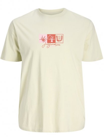 Jack & Jones Canggu Crew Neck T-Shirt Celadon Tint - T-shirts - Stora T-shirts - 2XL-14XL