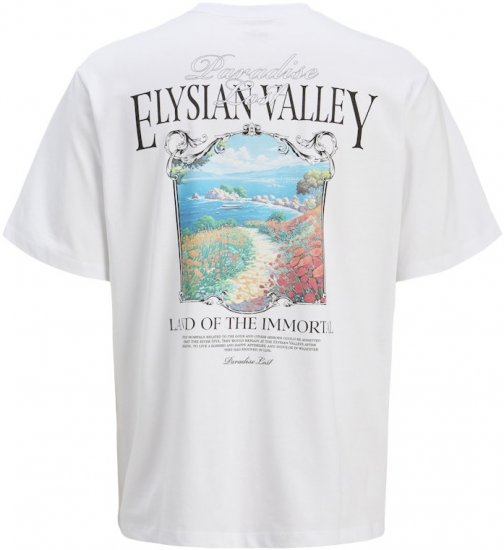 Jack & Jones Parallel Crew Neck T-Shirt Bright White - T-shirts - Stora T-shirts - 2XL-14XL
