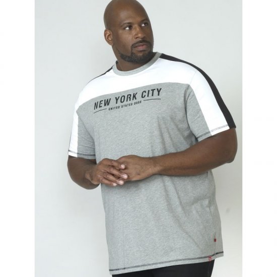 D555 Alvester T-shirt Grey - T-shirts - Stora T-shirts - 2XL-14XL