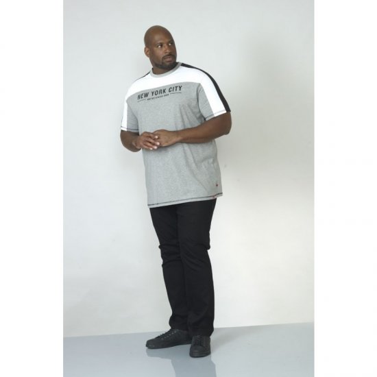 D555 Alvester T-shirt Grey - T-shirts - Stora T-shirts - 2XL-14XL