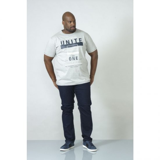 D555 Phillip T-shirt Grey - T-shirts - Stora T-shirts - 2XL-14XL