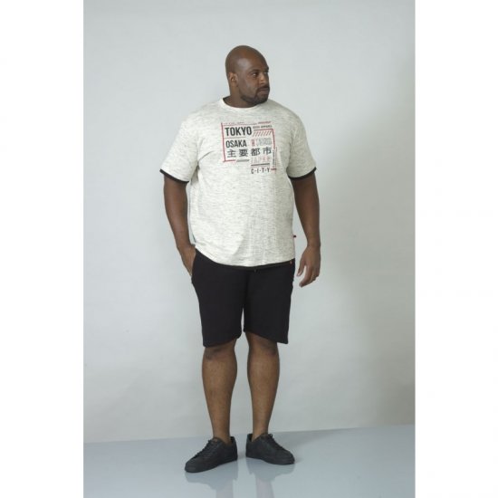 D555 Merlin T-shirt Grey - T-shirts - Stora T-shirts - 2XL-14XL