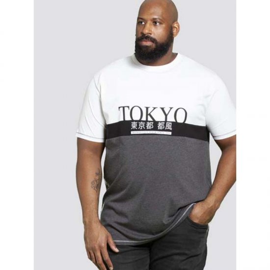 D555 Morris T-shirt Charcoal - T-shirts - Stora T-shirts - 2XL-14XL