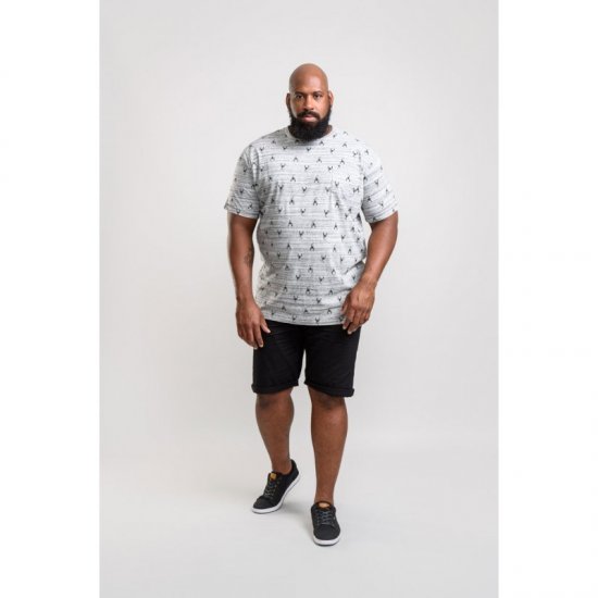 D555 Dario T-shirt Grey - T-shirts - Stora T-shirts - 2XL-14XL