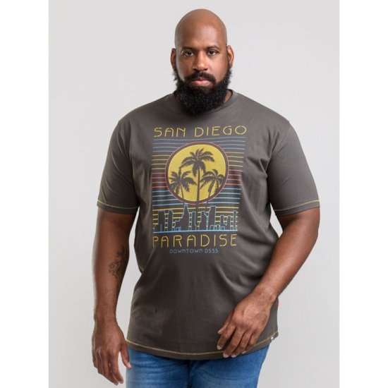 D555 Stanley T-shirt Khaki - T-shirts - Stora T-shirts - 2XL-14XL