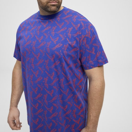 North Latitude T-Shirt Printed Allover Blue - T-shirts - Stora T-shirts - 2XL-14XL