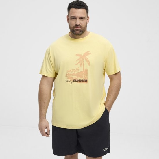North Latitude T-Shirt Printed Yellow - T-shirts - Stora T-shirts - 2XL-14XL