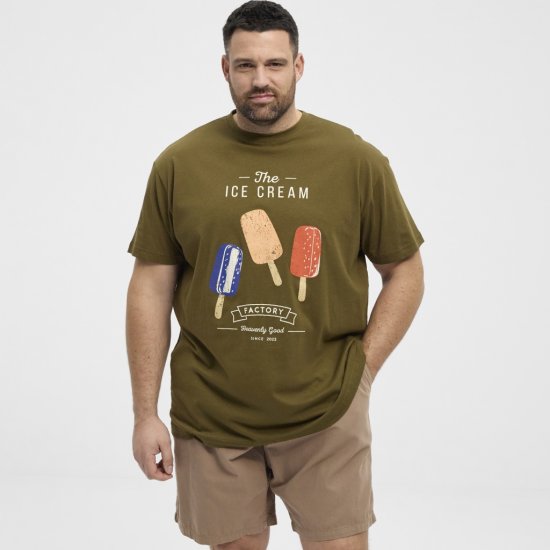 North Latitude T-Shirt Ice Cream Green - T-shirts - Stora T-shirts - 2XL-14XL