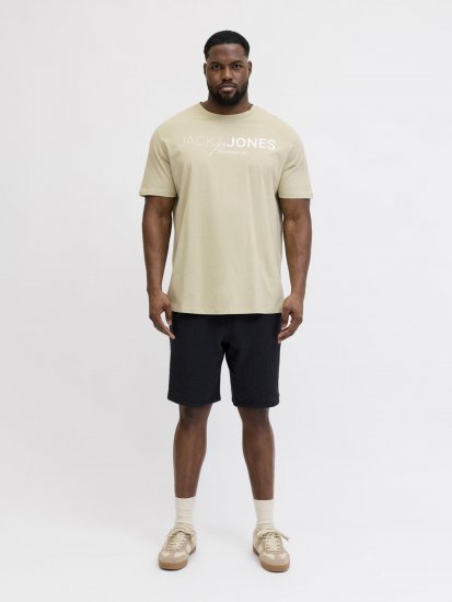 Jack & Jones Blaneo Short Sleeve T-shirt Beige - T-shirts - Stora T-shirts - 2XL-14XL