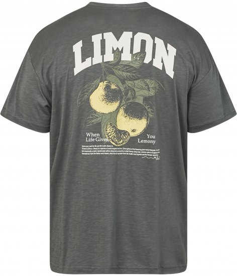 North Latitude 61317 T-Shirt med Ryggtryck Mörkgrön - T-shirts - Stora T-shirts - 2XL-14XL