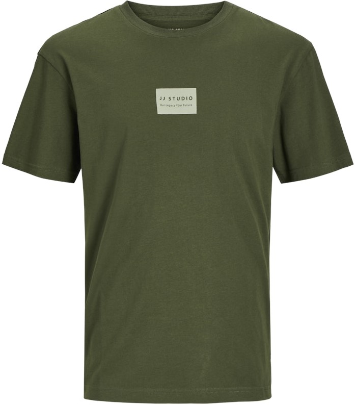3XL - T-shirt i stora storlekar - Jack & Jones HAKKAI T-Shirt Kombu Green