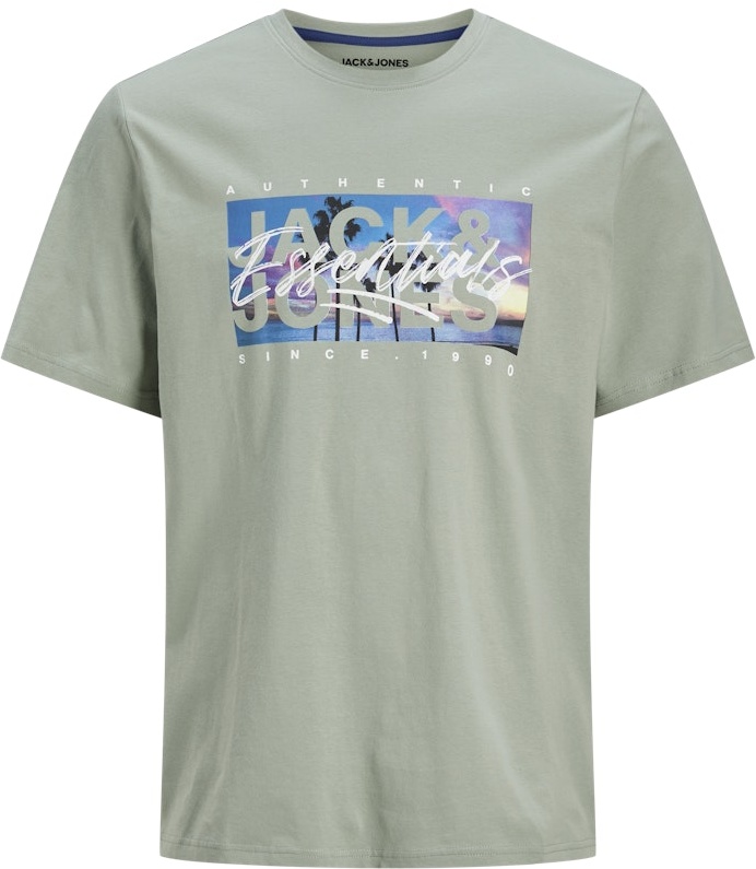3XL - T-shirt i stora storlekar - Jack & Jones Colton Photoprint Crew Neck T-Shirt Iceberg Green